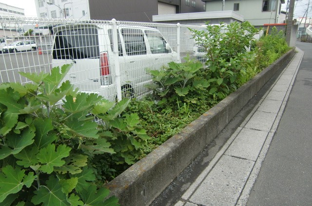 室内画像