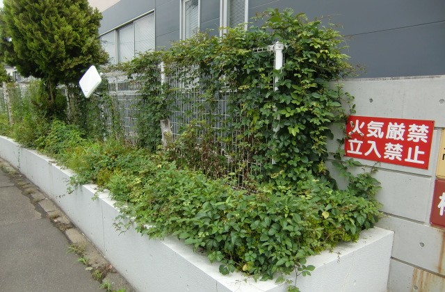 室内画像